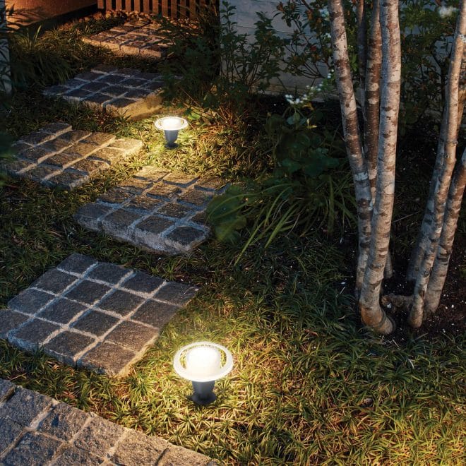 Ledius Lighting Kit - for Garden & Path Low Voltage - Image 2