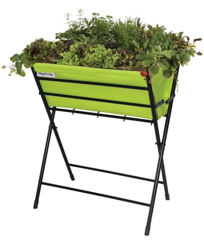 VegTrug Poppy - Lime Green