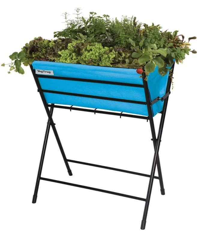 VegTrug Poppy - Pale Blue