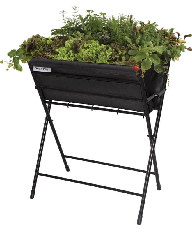 Vegtrug Poppy - Black