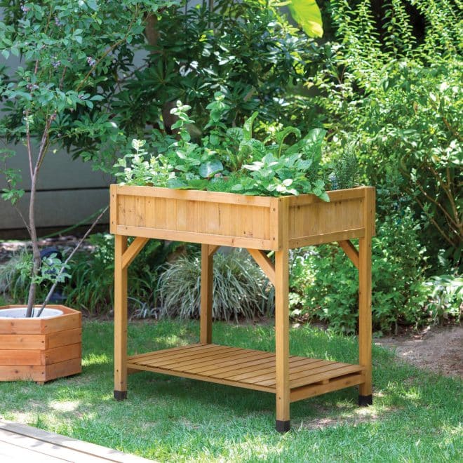 Herb Garden – Natural Finish - FSC 100% - Image 2