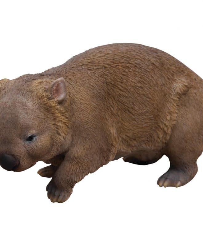 Wally Wombat