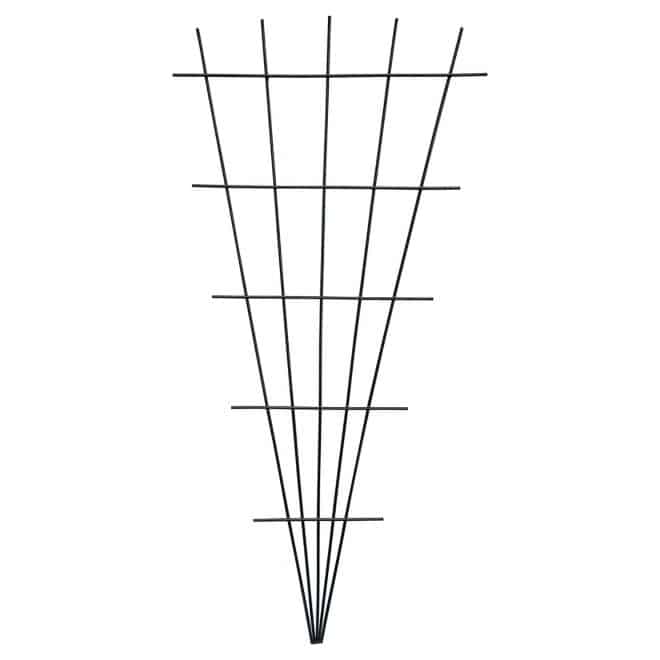 Fan Trellis 75cm - hammertone