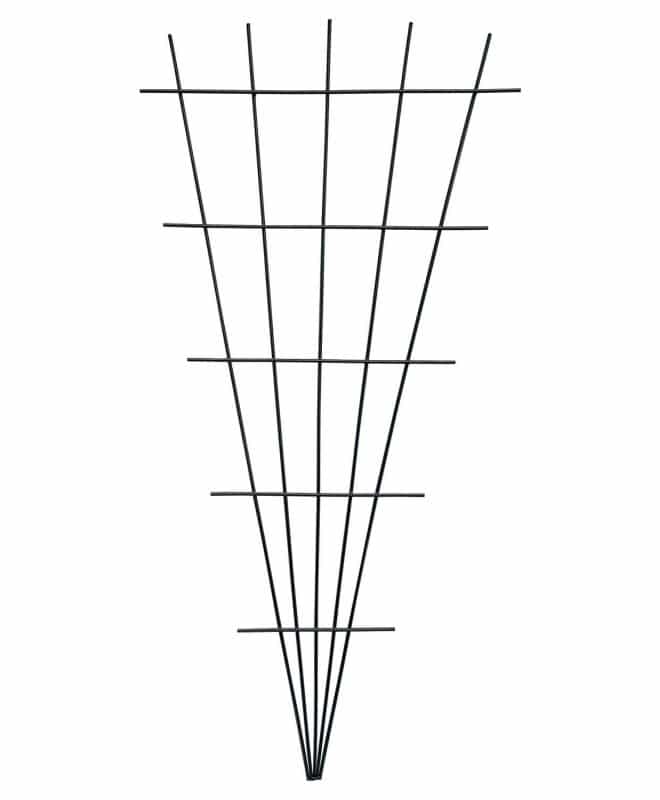 Fan Trellis 75cm - hammertone