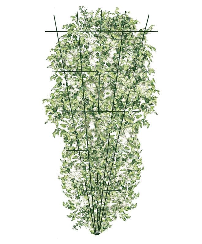Fan Trellis 180cm - hammertone
