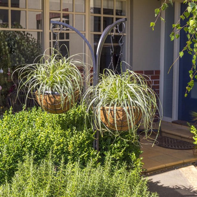 Hanging Basket Stand (holds three baskets) Hammertone - Image 3