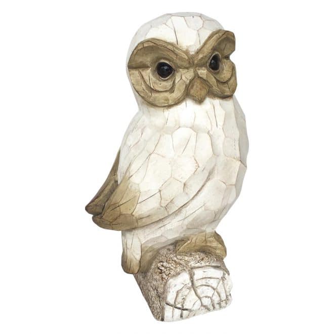Owl on Branch