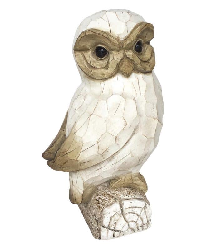 Owl on Branch