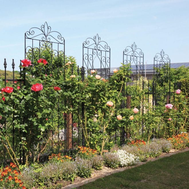 Trellis - Scroll - large - black - Image 2