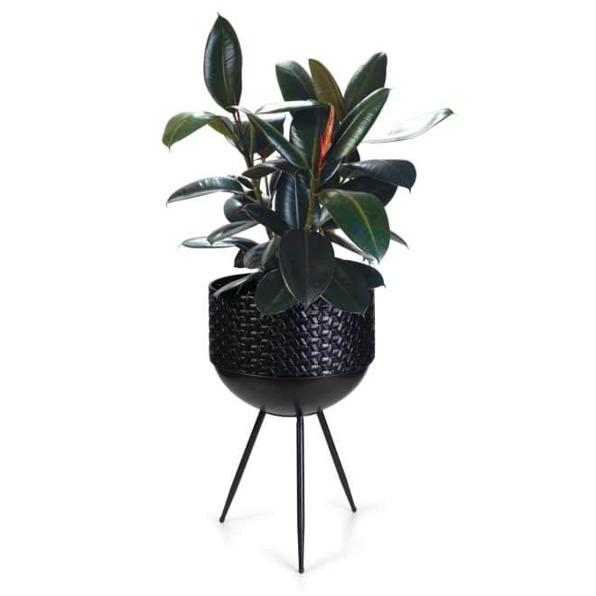 Luxe Bowl Planter on Legs