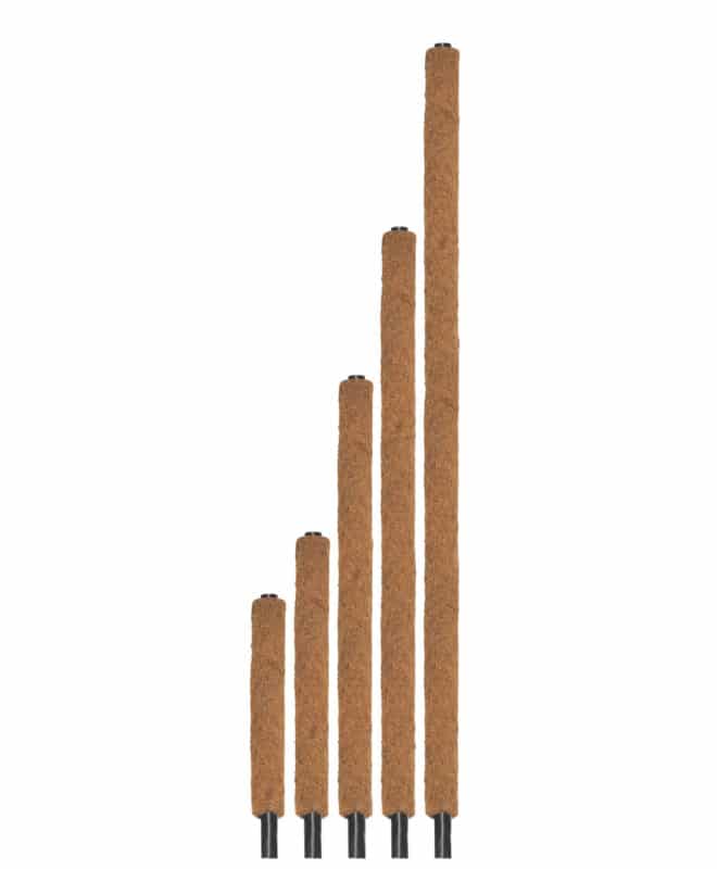 Coco Plant Pole 60cm (L)