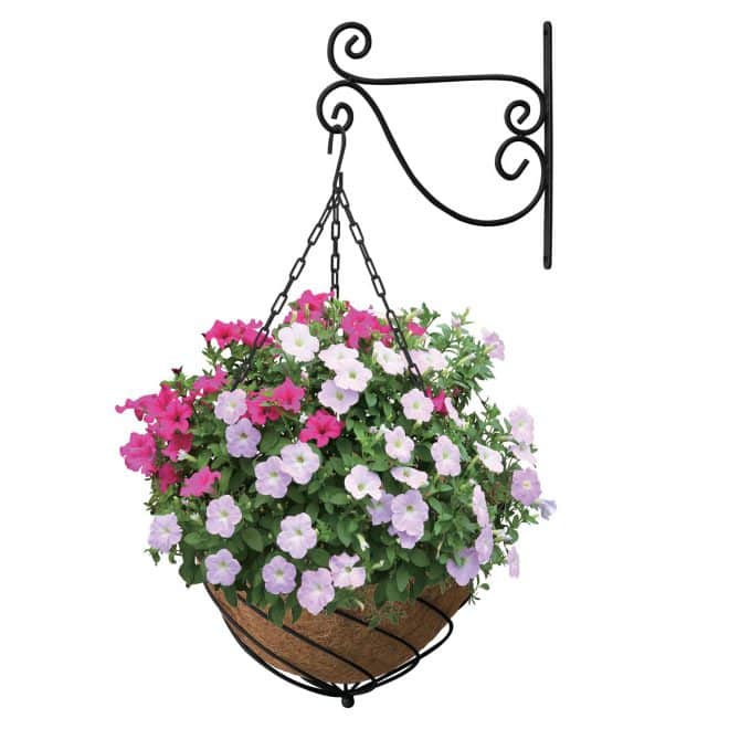 Hanging Basket Tear Drop with Liner 37cm- Black - Image 2