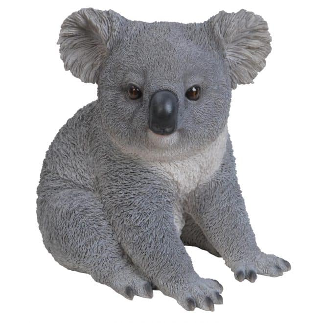 Koala Squatting