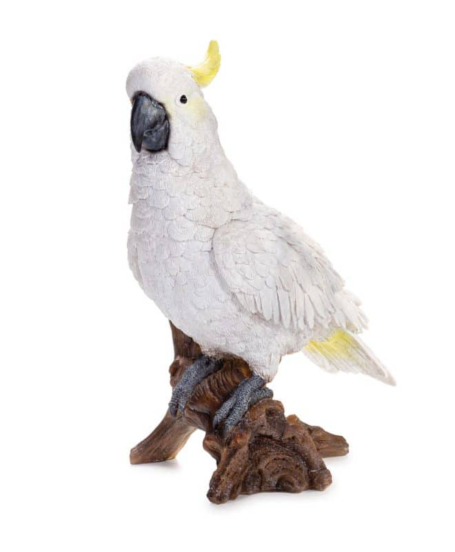 Cockatoo on Stump