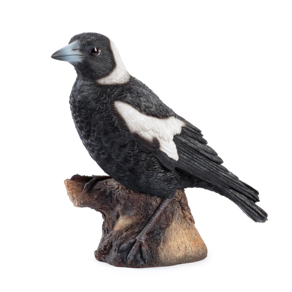 Magpie - Takasho Australia