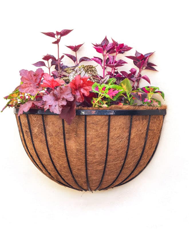 Wall Basket Cathedral 61cm - Black