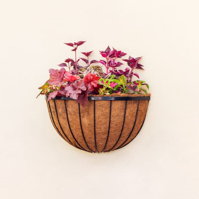 Wall Basket Cathedral 61cm - Black - Image 4