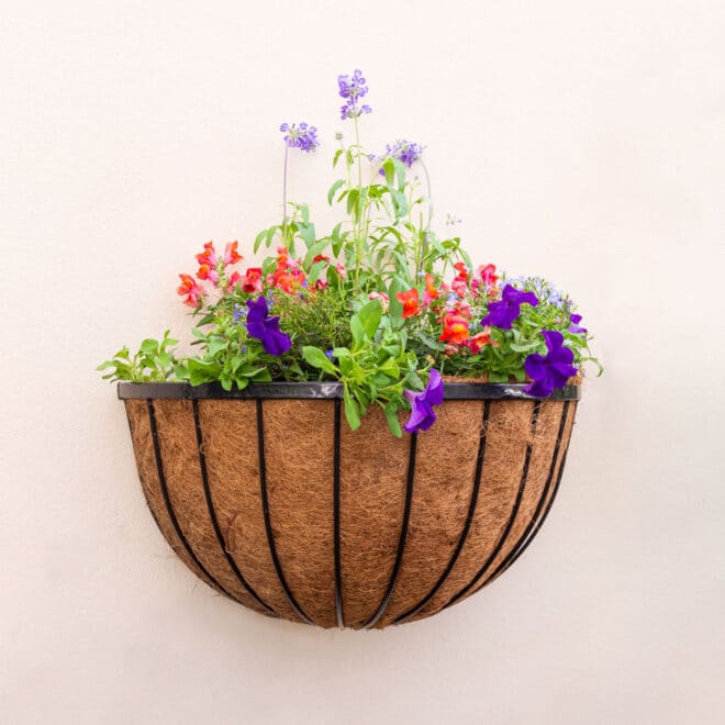 Wall Basket Cathedral 61cm - Black - Image 3
