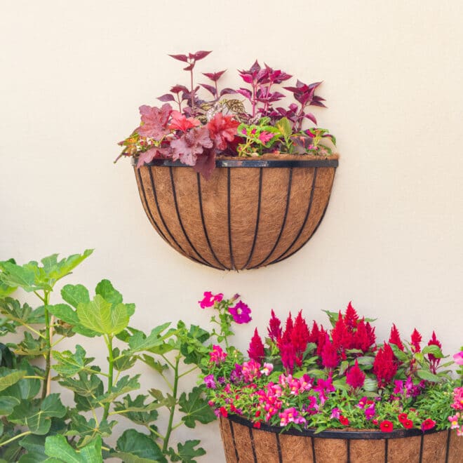 Wall Basket Cathedral 61cm - Black - Image 5