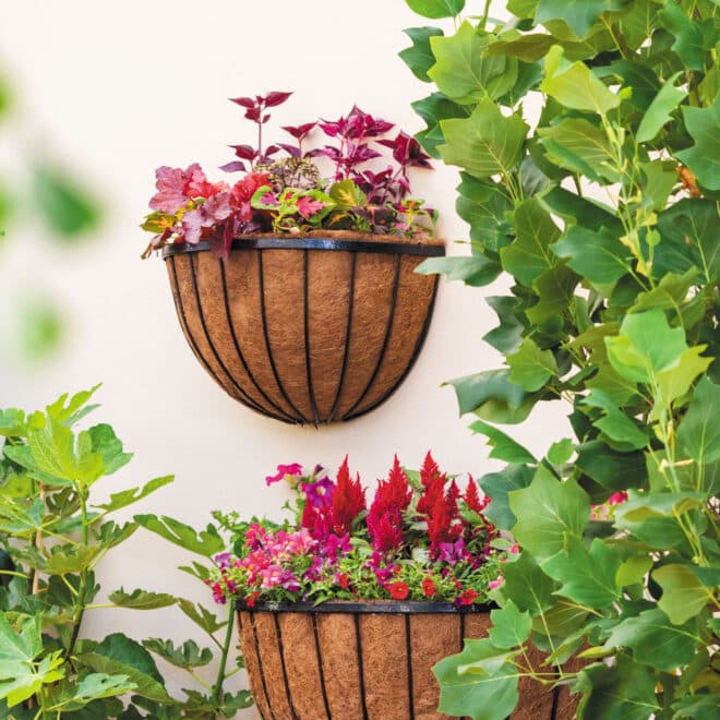 Wall Basket Cathedral 61cm - Black - Image 2