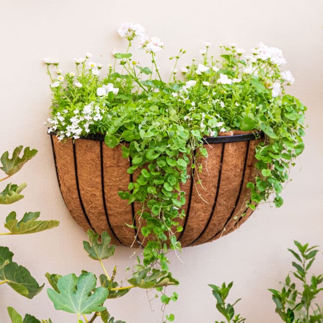 Wall Basket Cathedral 76cm - Black
