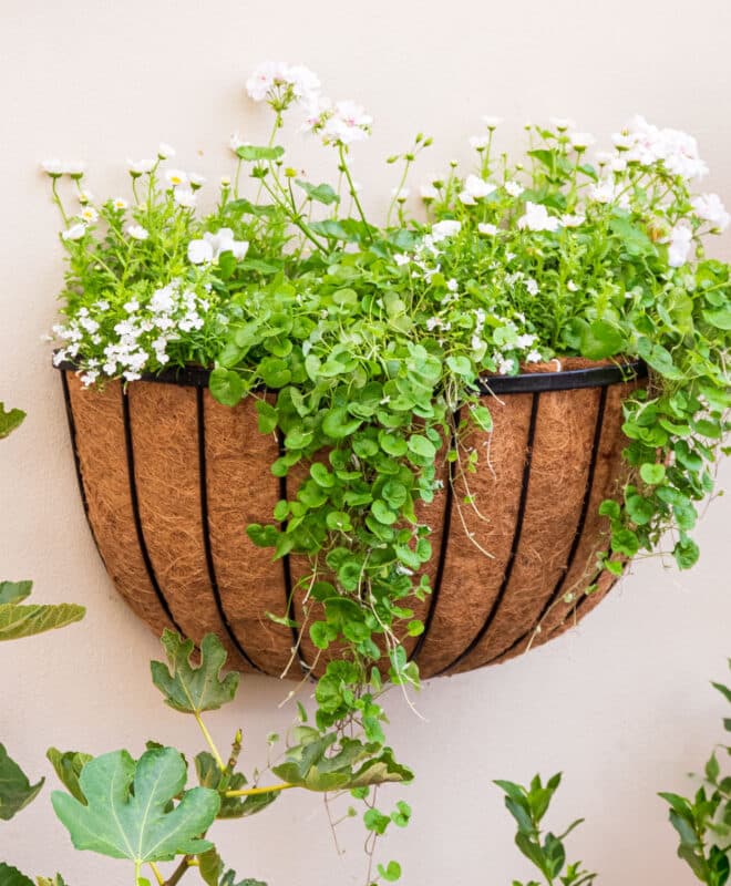 Wall Basket Cathedral 76cm - Black