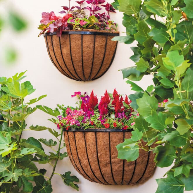 Wall Basket Cathedral 76cm - Black - Image 2
