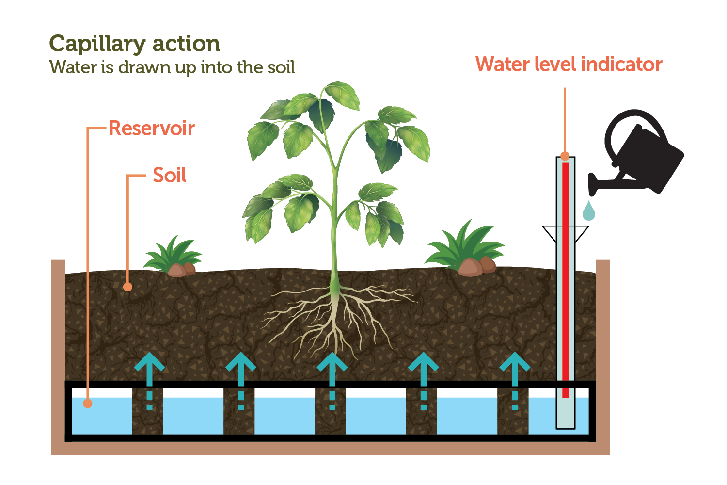 Wallhugger Self Watering Kit 1.8m - Takasho Australia