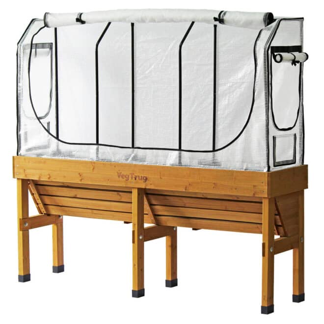 Medium WallHugger Greenhouse PE/MM replacement Cover - Tall version (no frame) - Image 2
