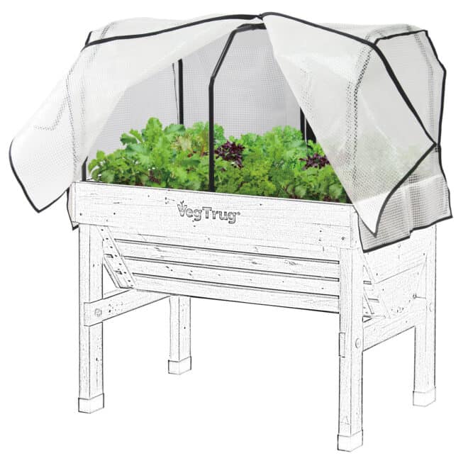 Small (1m) Greenhouse PE Cover - Image 4