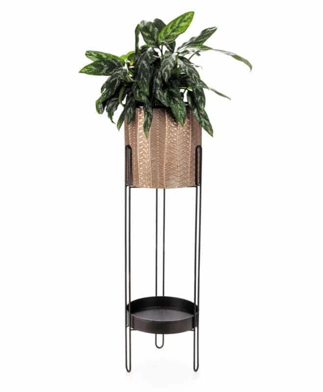 Osmunda Planter 89cm - Aged Brass Finish