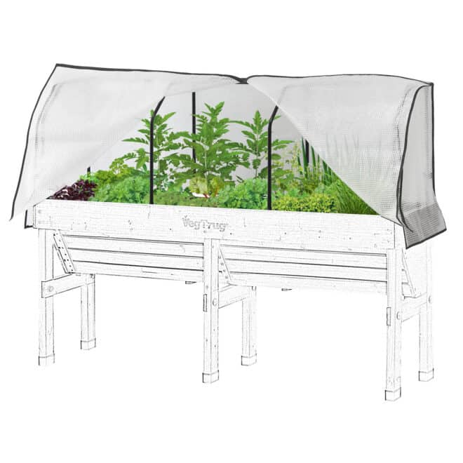 Wall Hugger Medium 1.8m Greenhouse PE Cover (no frame) - Image 5