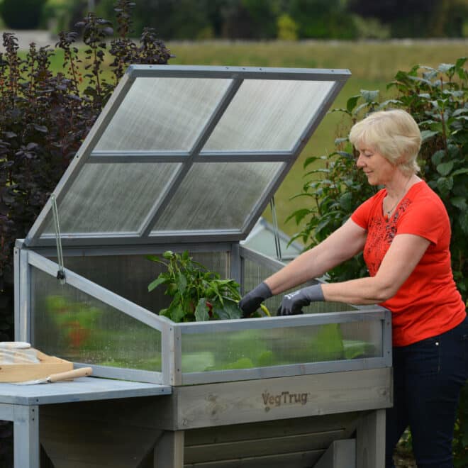 Cold Frame - 1m - Grey Wash - FSC 100% - Image 2