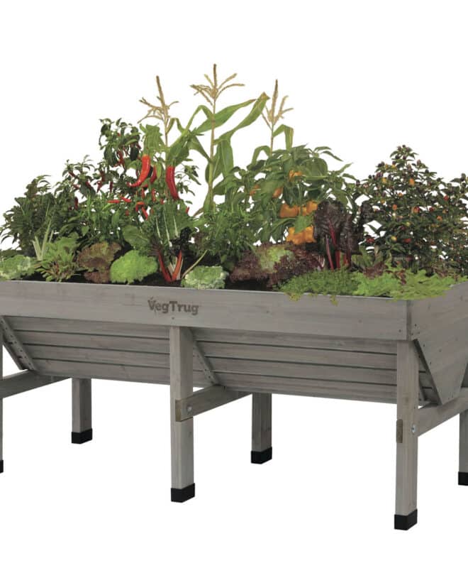 VegTrug Classic - Medium 1.8m - Grey Wash - FSC 100℅