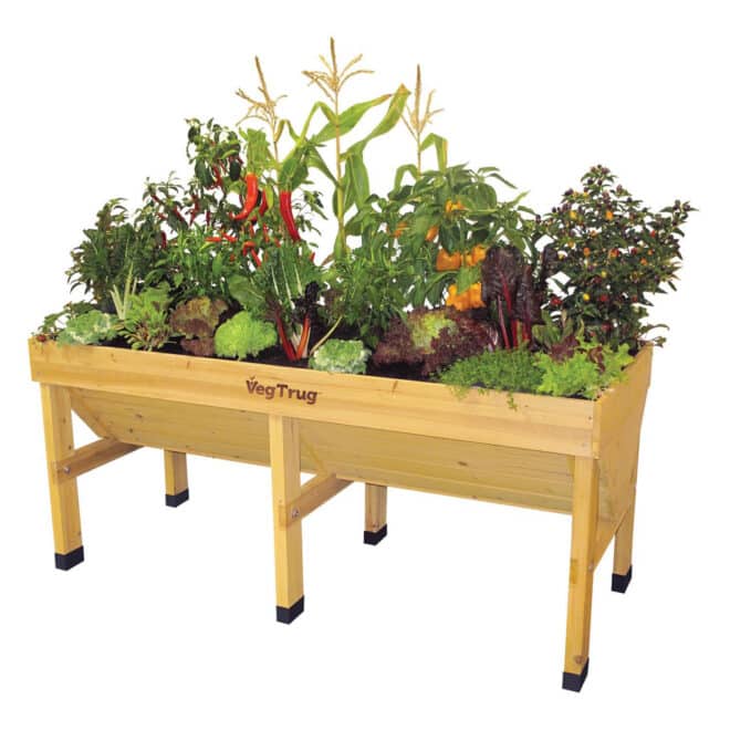 VegTrug Classic - Medium 1.8m - Natural - FSC 100℅
