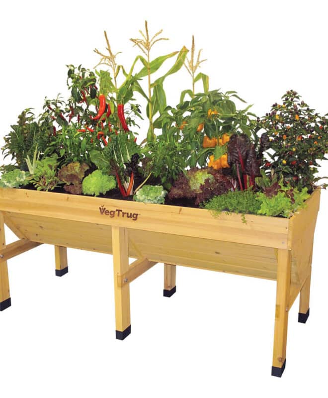 VegTrug Classic - Medium 1.8m - Natural - FSC 100℅