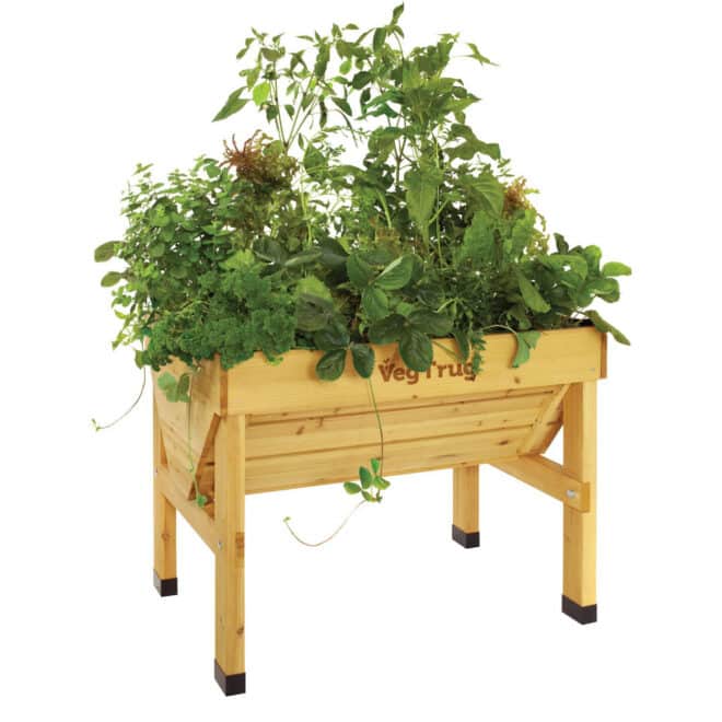 VegTrug Classic - Small 1m - Natural - FSC 100℅
