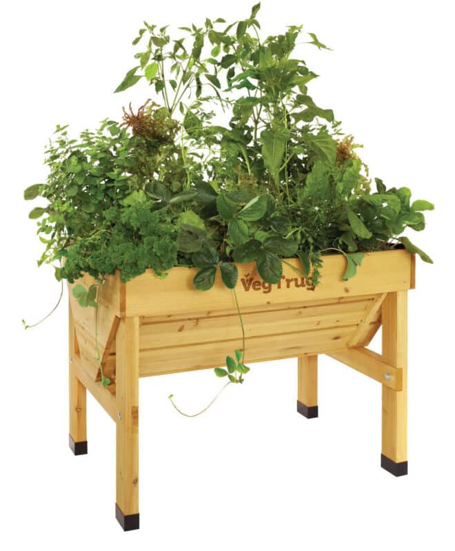 VegTrug Classic - Small 1m - Natural - FSC 100℅