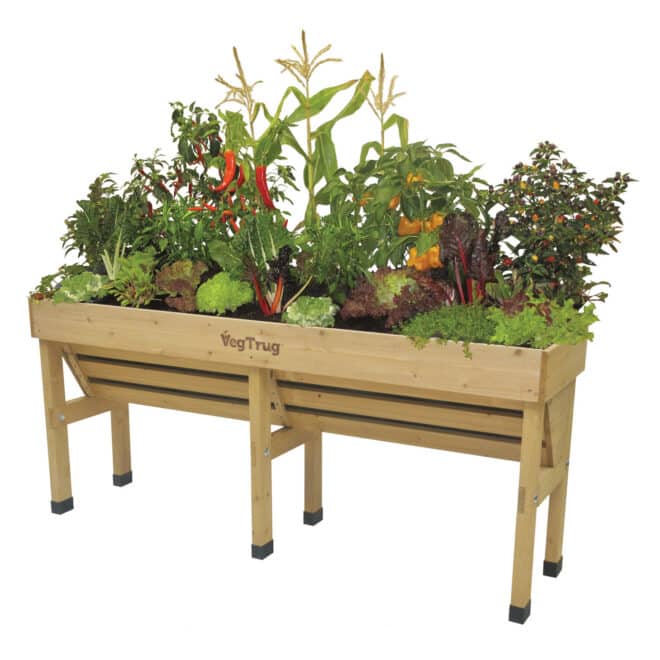VegTrug Wallhugger - Medium 1.8m - Natural - FSC100% - Image 4
