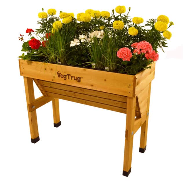 VegTrug Wallhugger - Small 1m - Natural - FSC100% - Image 4