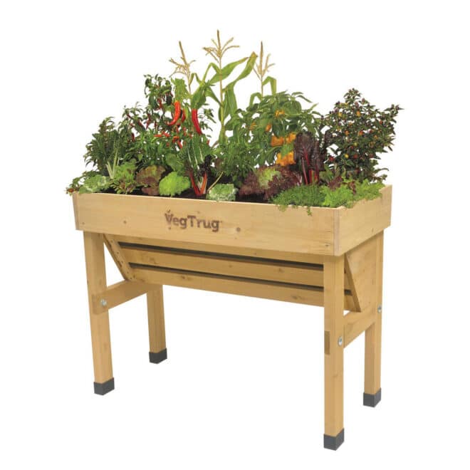 VegTrug Wallhugger - Small 1m - Natural - FSC100% - Image 3