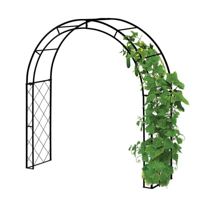 Metal Squash Arch