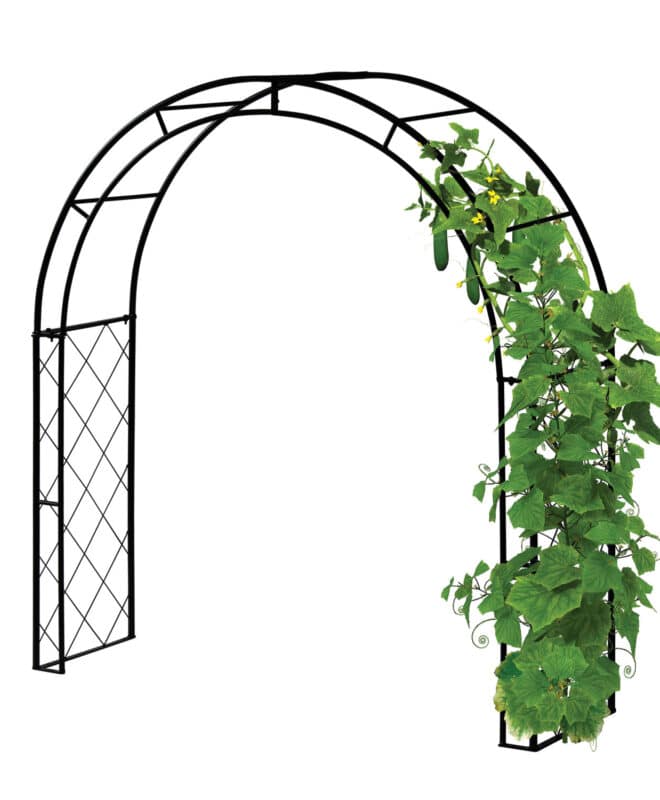 Metal Squash Arch
