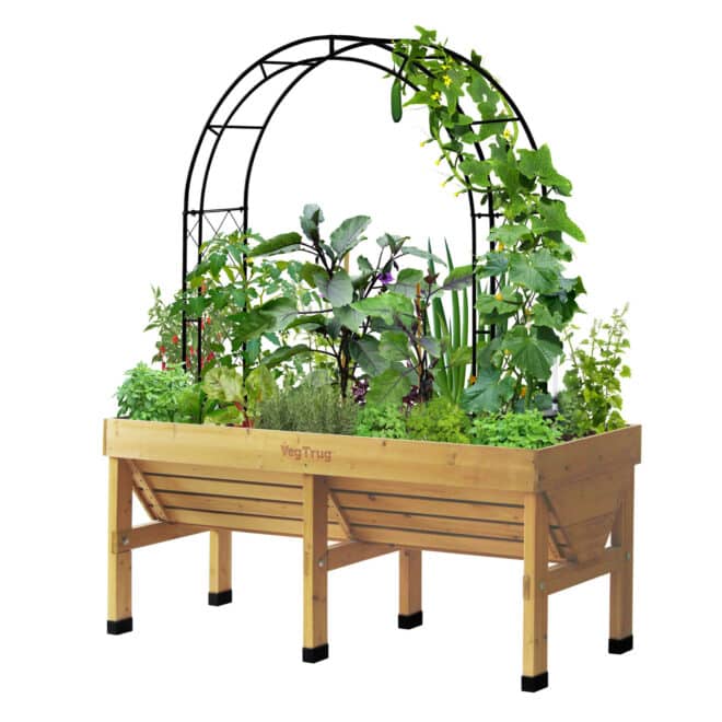 Metal Squash Arch - Image 7