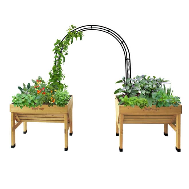 Metal Squash Arch - Image 5