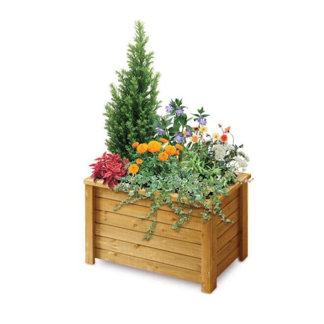 Wooden Rectangle Box Planter - 60cm - Natural - FSC 100%