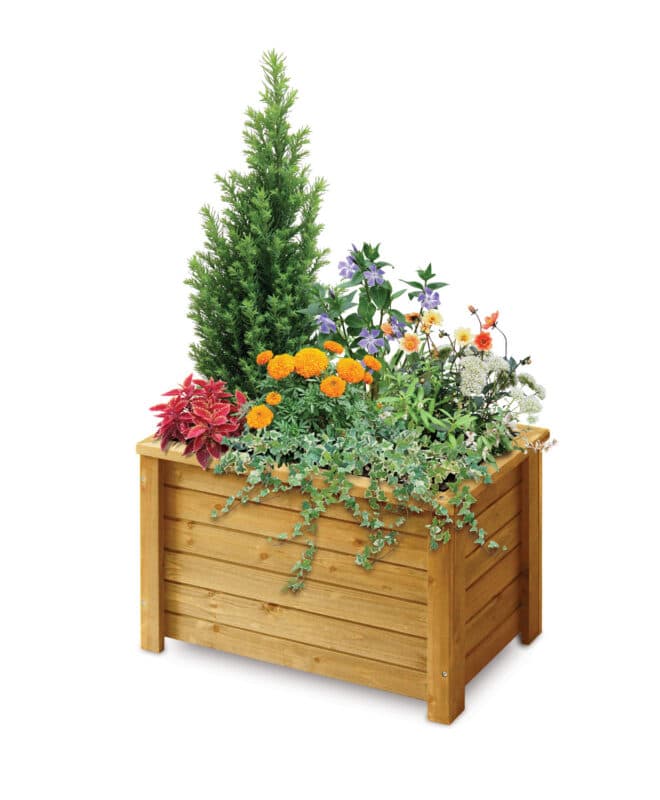 Wooden Rectangle Box Planter - 60cm - Natural - FSC 100%