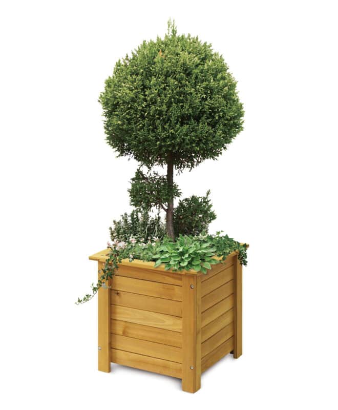Wooden Square Box Planter - 35cm - Natural - FSC 100%