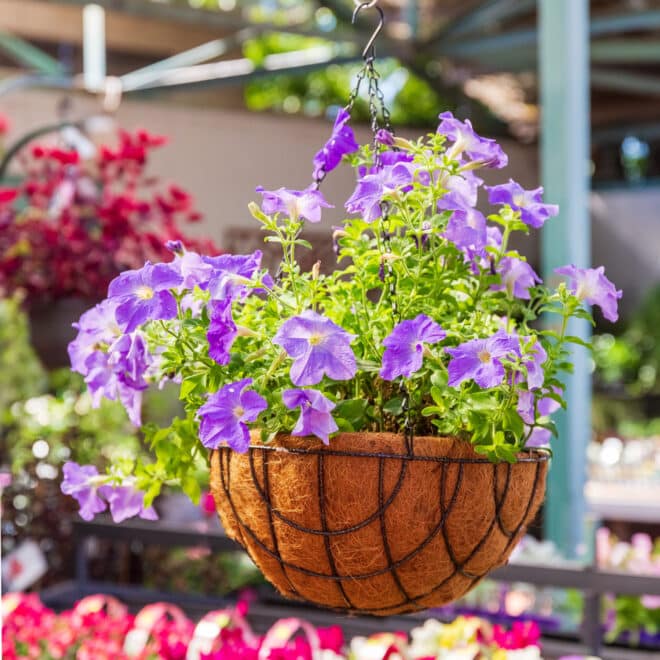 Premium Hanging Basket with Liner 40cm - Hammertone - Image 3