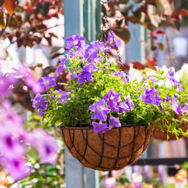 Premium Hanging Basket with Liner 40cm - Hammertone - Image 2